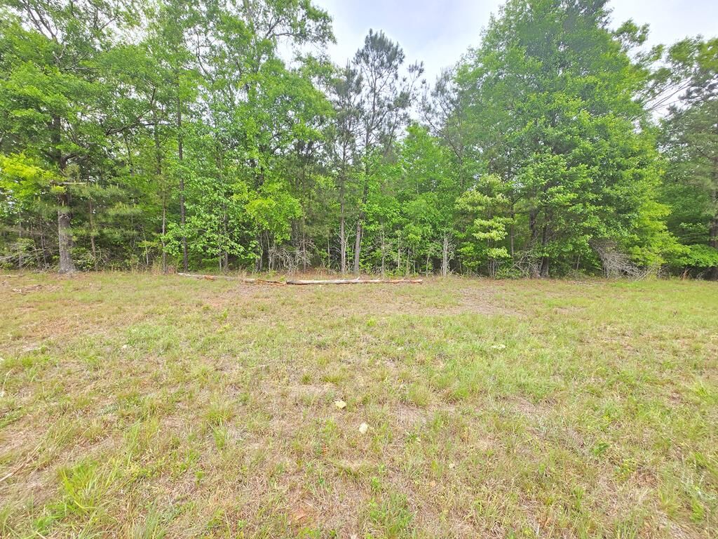 Property Photo:  0 Oak Mountain Road  GA 31826 