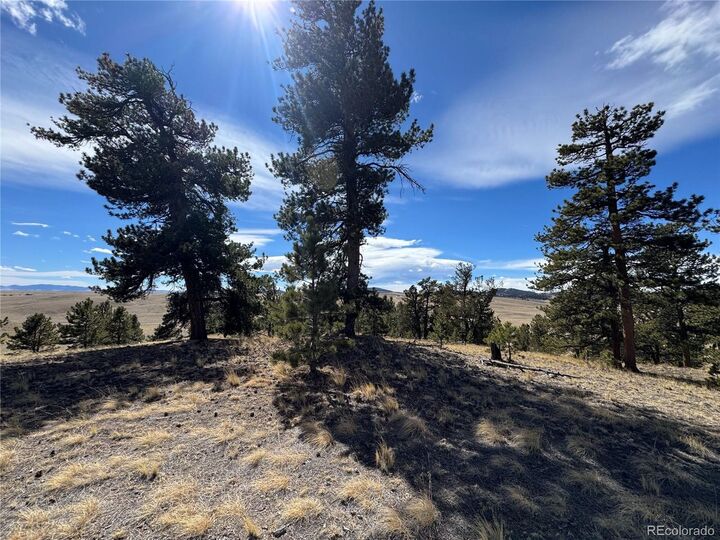 Property Photo: 62 Powder Way CO 80456