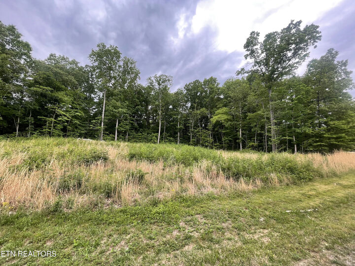 Property Photo: Willow Ridge Drive TN 38571
