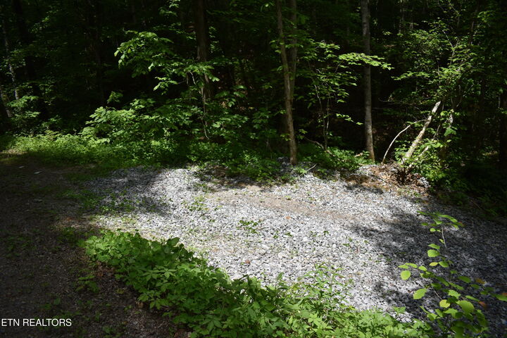 Property Photo: Shady Valley Rd VA 24248