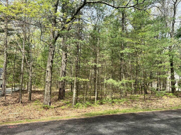 Property Photo: Lot 95 Iroquois Road MI 49449