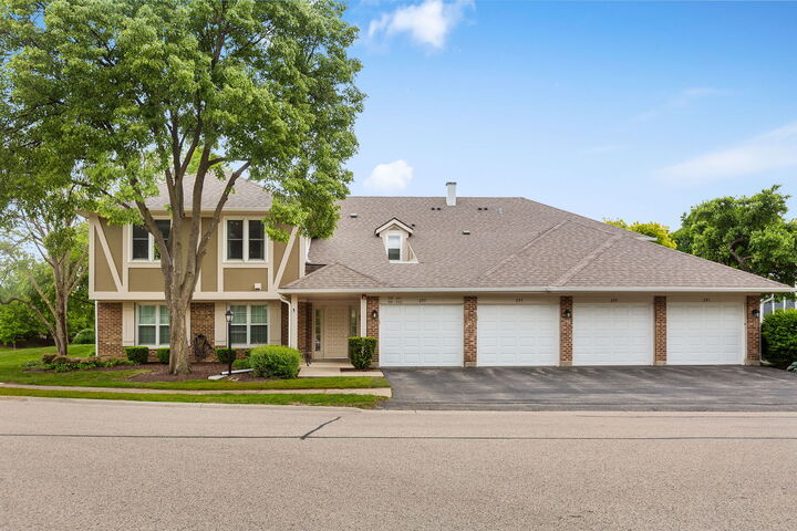 Property Photo: 295 Coventry Circle 295 IL 60061