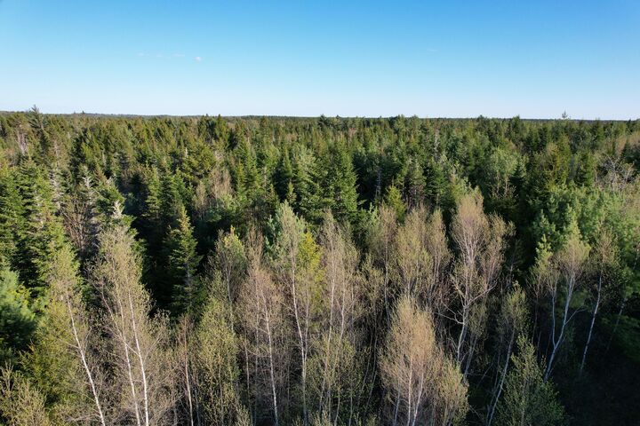 Property Photo: Lot 009 Off Of Reynolds Brook Road ME 04691