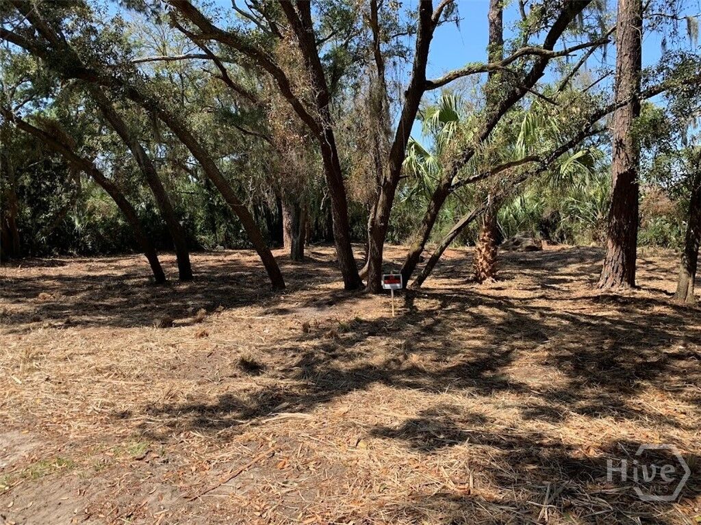 Property Photo: 0 McKenzie Avenue GA 31328