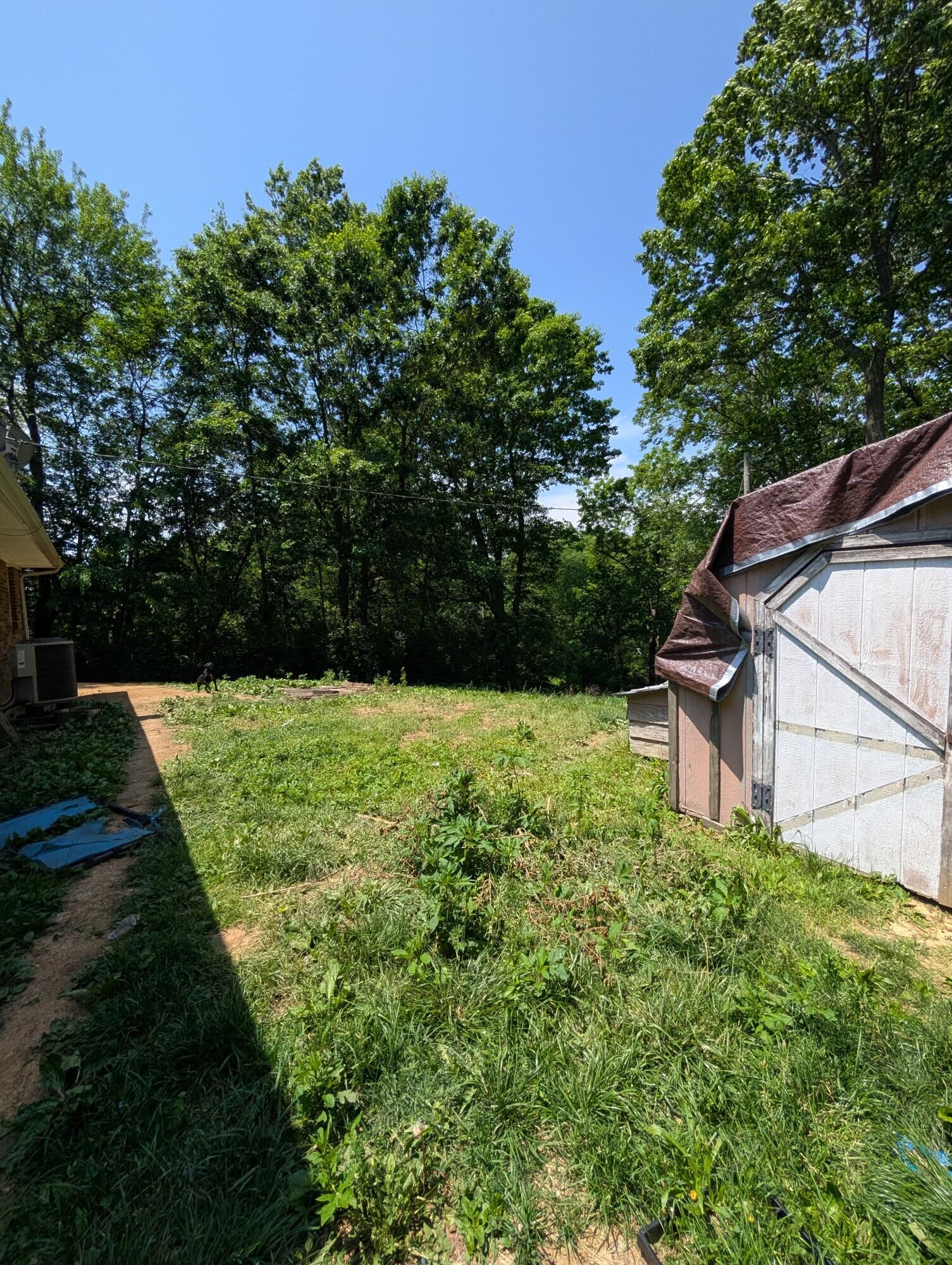 Property Photo: 3775 Highway 455 KY 41086