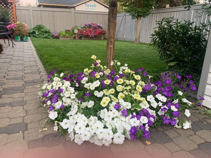 Property Photo: 9645 65 Avenue AB T8W 2B6