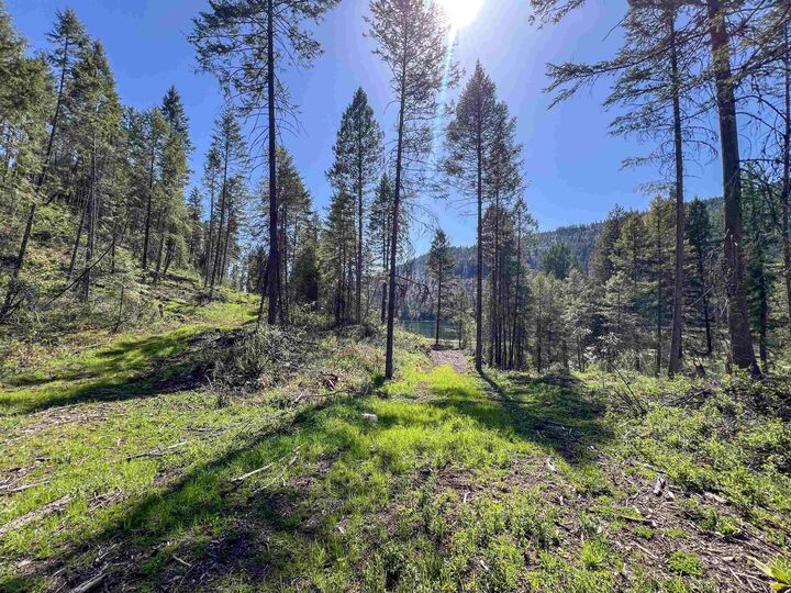 Property Photo:  16-Tbd Williams Lake Rd  WA 99114 