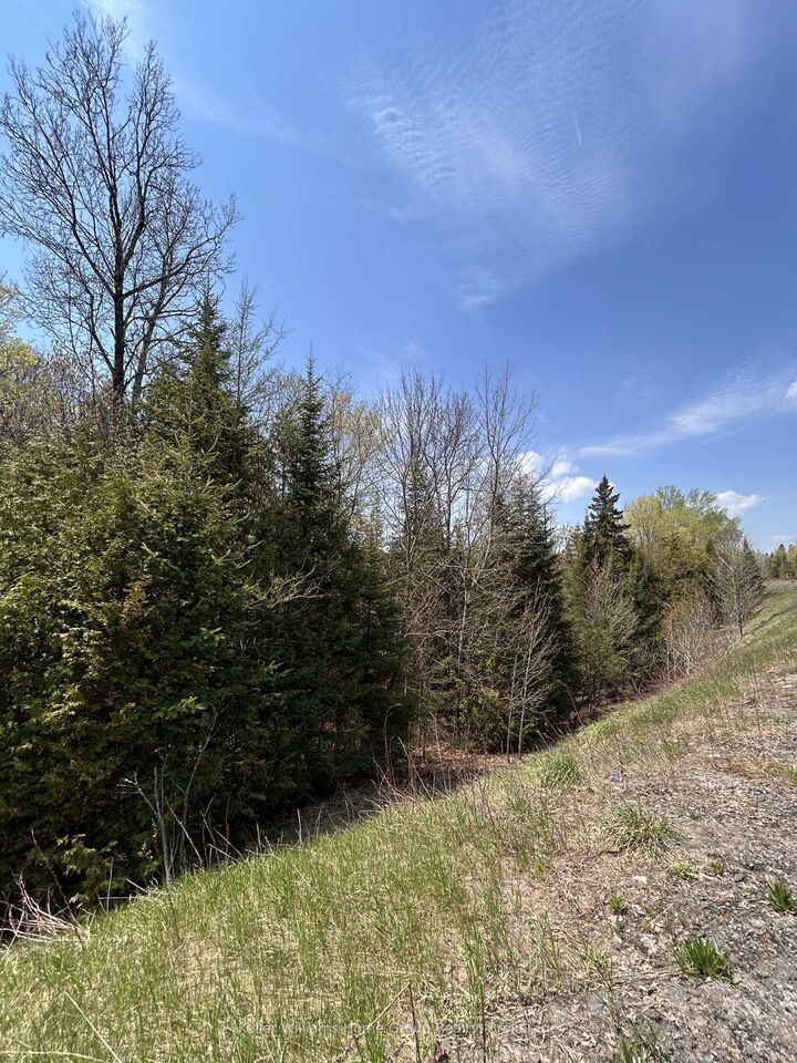 0 Highway 118 N/A — photo 1