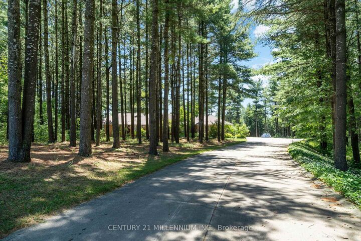 Property Photo:  41 Pine Ridge Road  ON N0B 1T0 