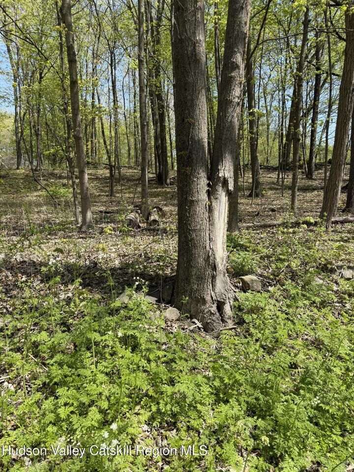 Property Photo:  120 Floyd Ackert  NY 12493 
