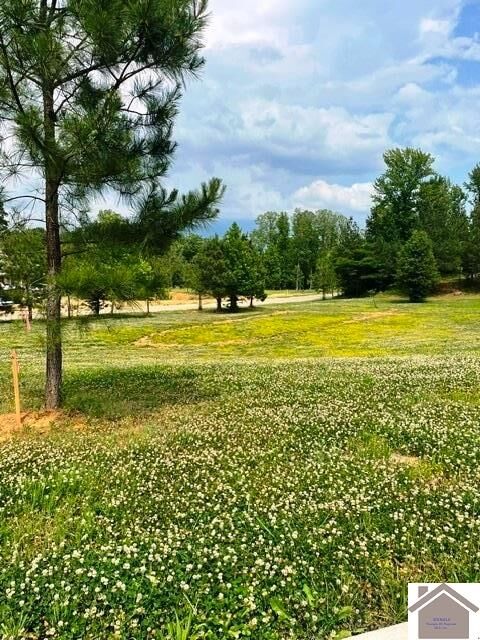 Property Photo:  295 Hidden Valley Dr  KY 42003 