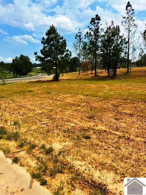 Property Photo: 305 Hidden Valley Dr KY 42003