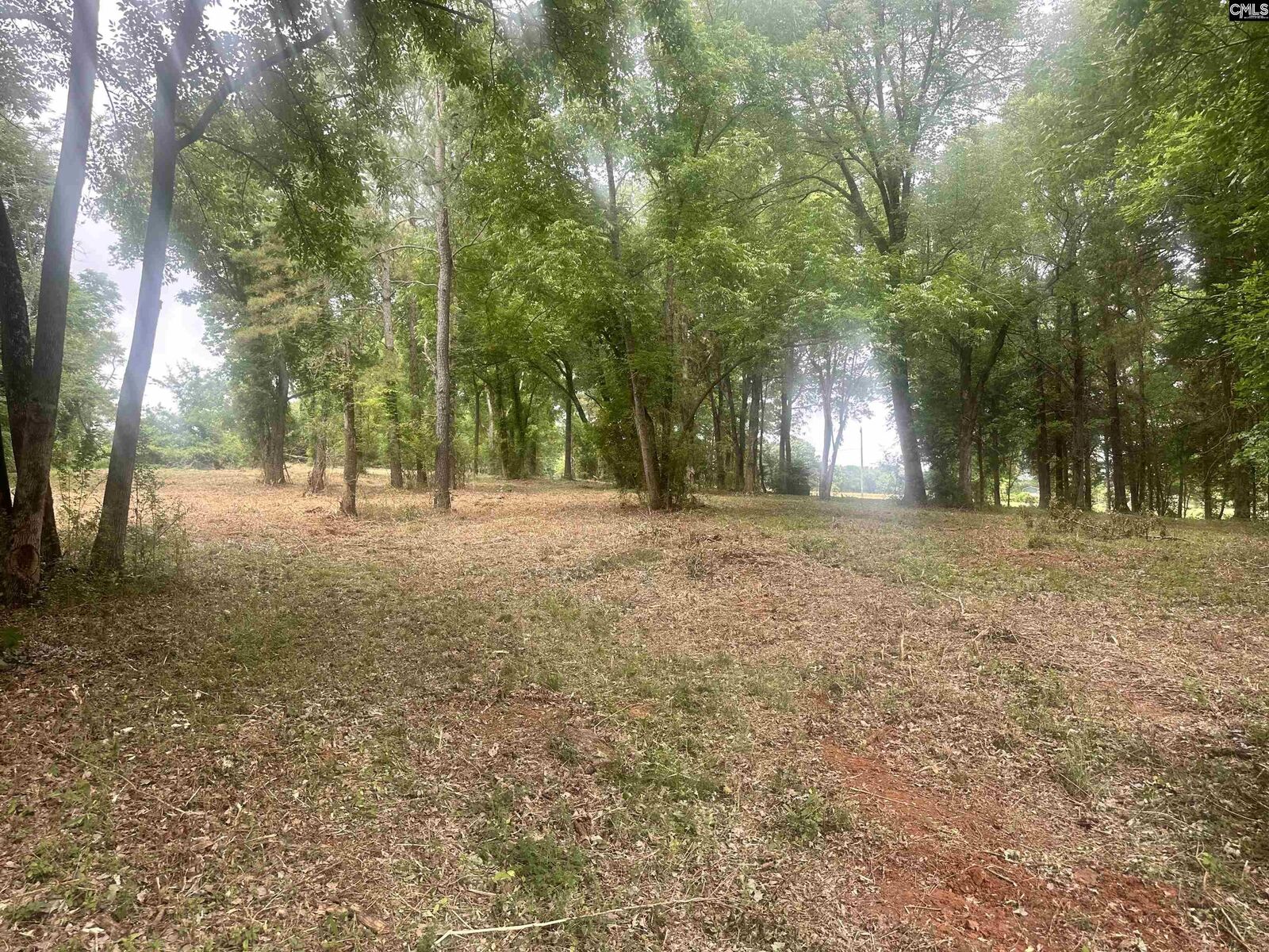 Property Photo:  0 Hwy 202  SC 29075 