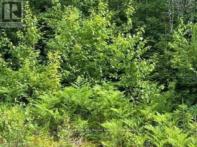 Property Photo:  Highway 575  ON P0H 1M0 