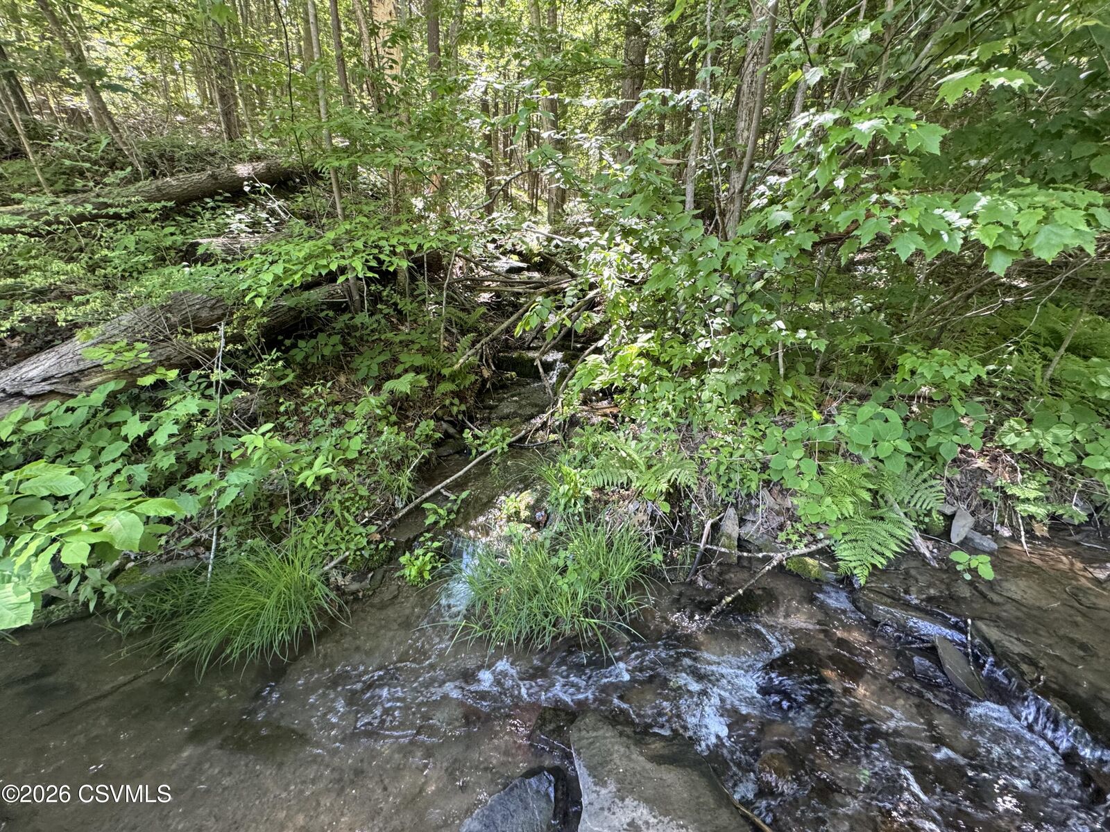 Property Photo:  442 State Street  PA 17846 
