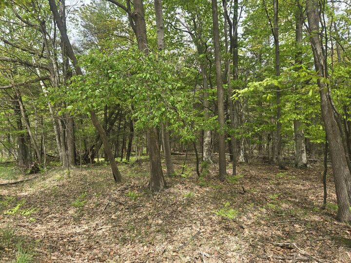 Property Photo:  Vl N Ridge Road  MI 49436 