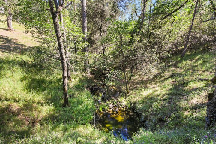 Property Photo: 0 Hoot Owl Ravine Road CA 95667