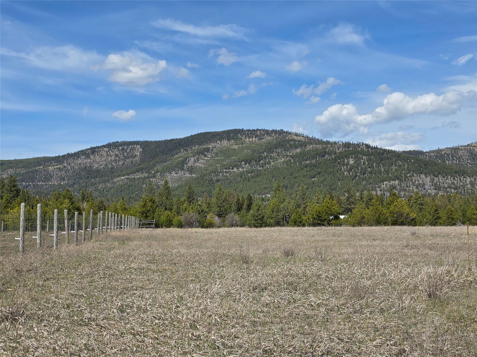 Property Photo:  107/115 Marion Meadows Trail  MT 59925 
