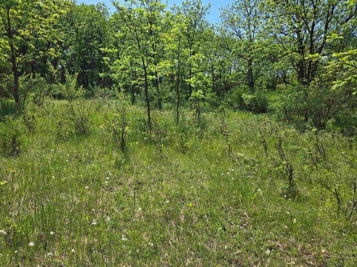Property Photo:  N6219 Sunnyside Road  WI 54941 