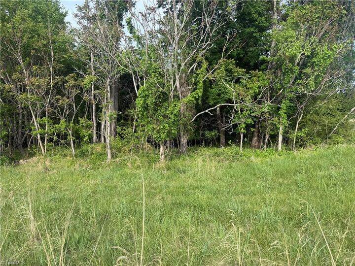 Property Photo:  00 Amostown Road  NC 27046 