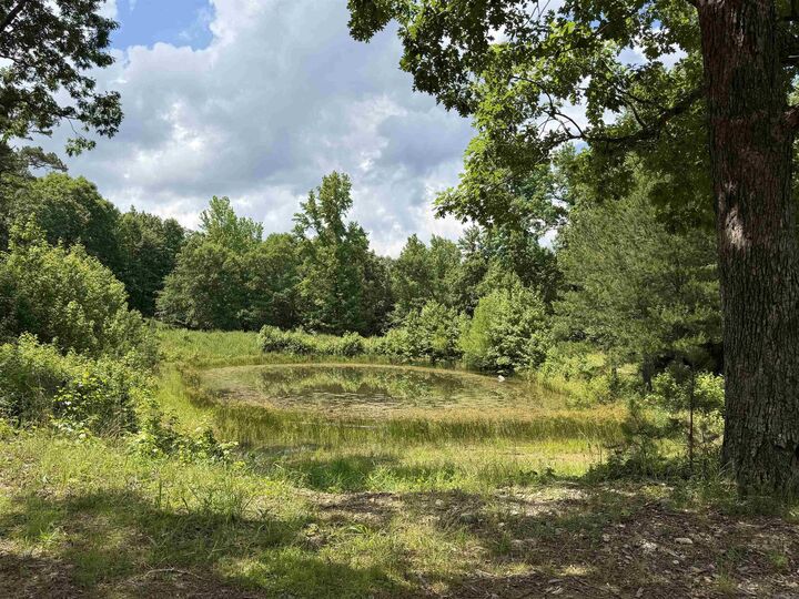 Property Photo:  153 Wenger Lane  AR 71953 