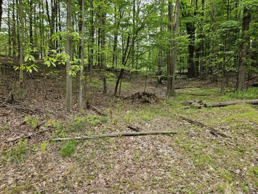 Property Photo:  17 Six Shillings  PA 15801 