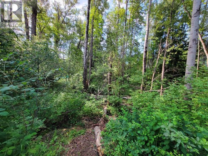 Property Photo:  Lot 1 Passmore Old Road  BC V0G 2J0 