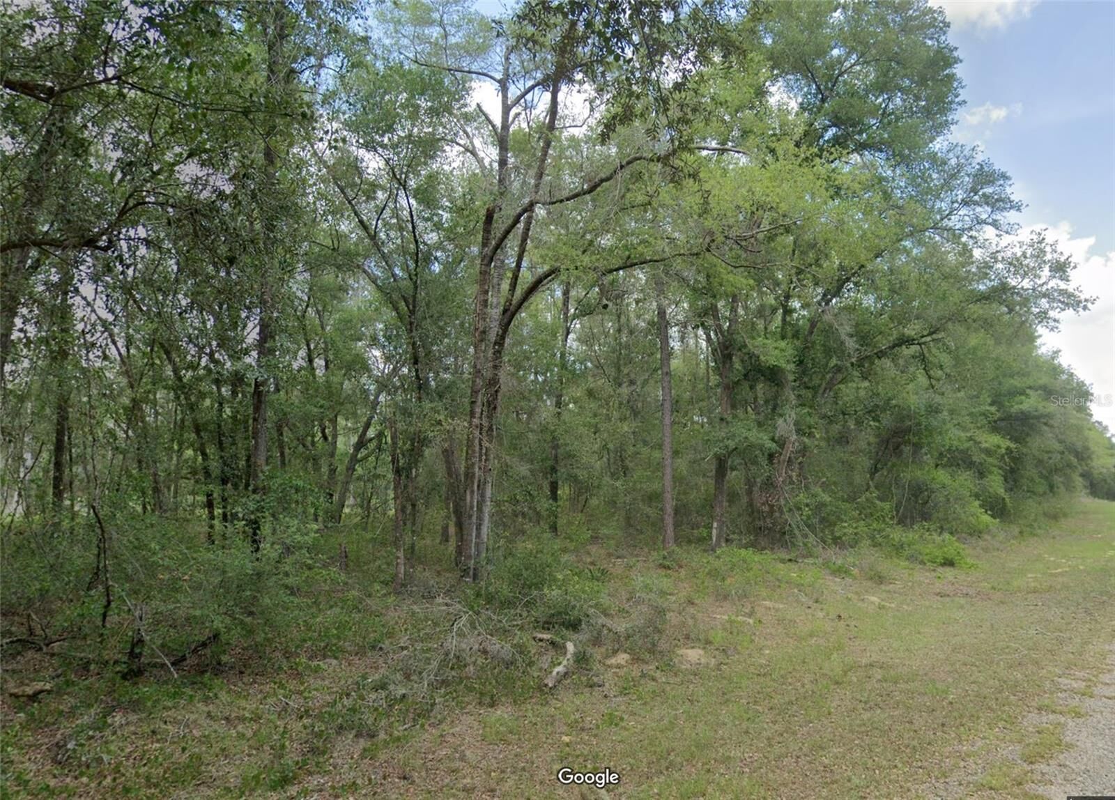 Property Photo:  719 E Byrd Loop  FL 34434 