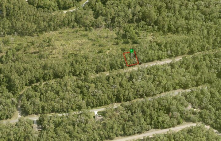 Property Photo:  737 E Byrd Loop  FL 34434 