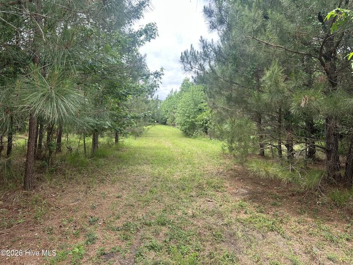 Property Photo:  0 Colice Hall Lane  NC 27910 