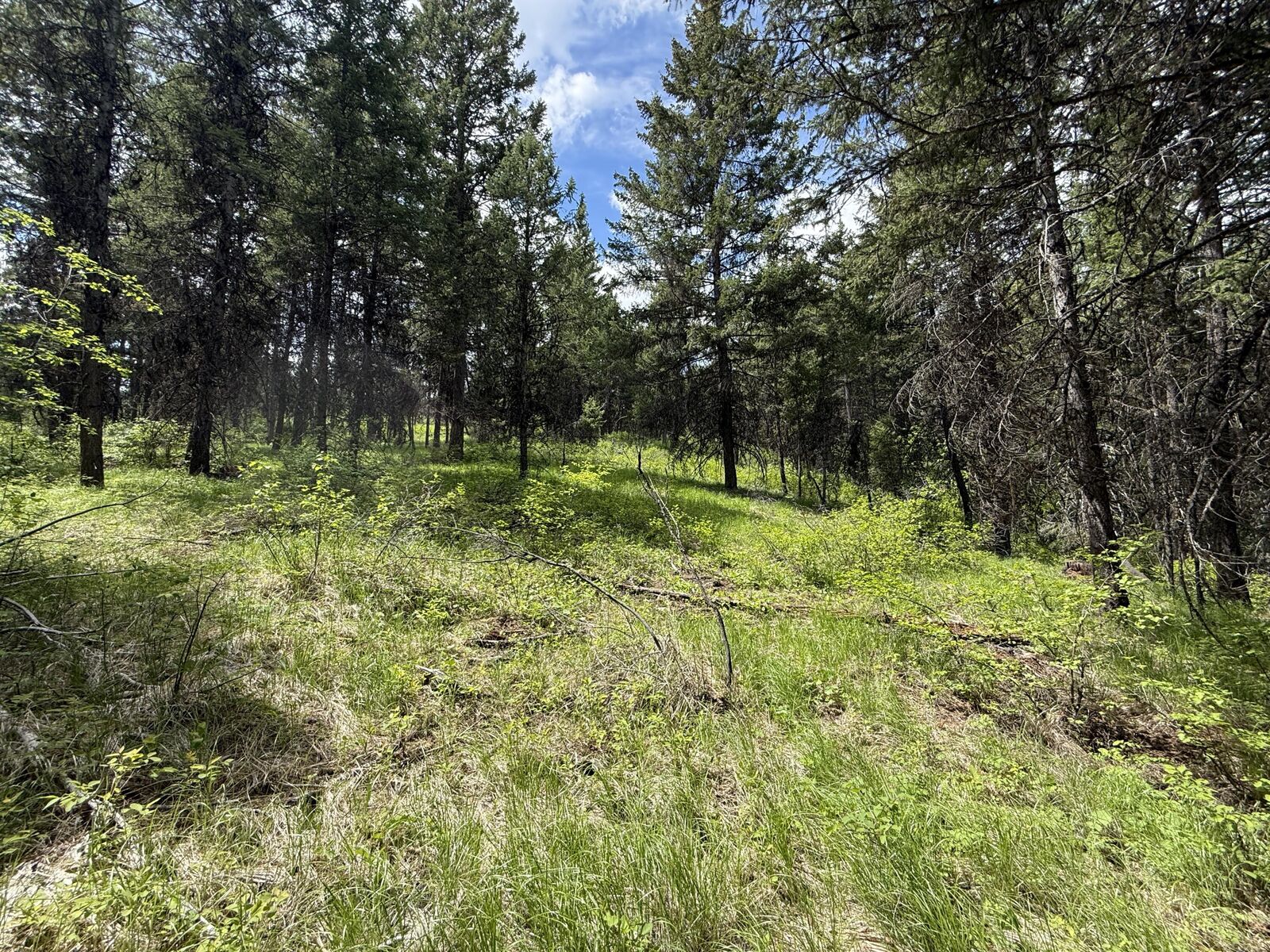 Property Photo:  Tbd E Knob Hill Rd  WA 99166 