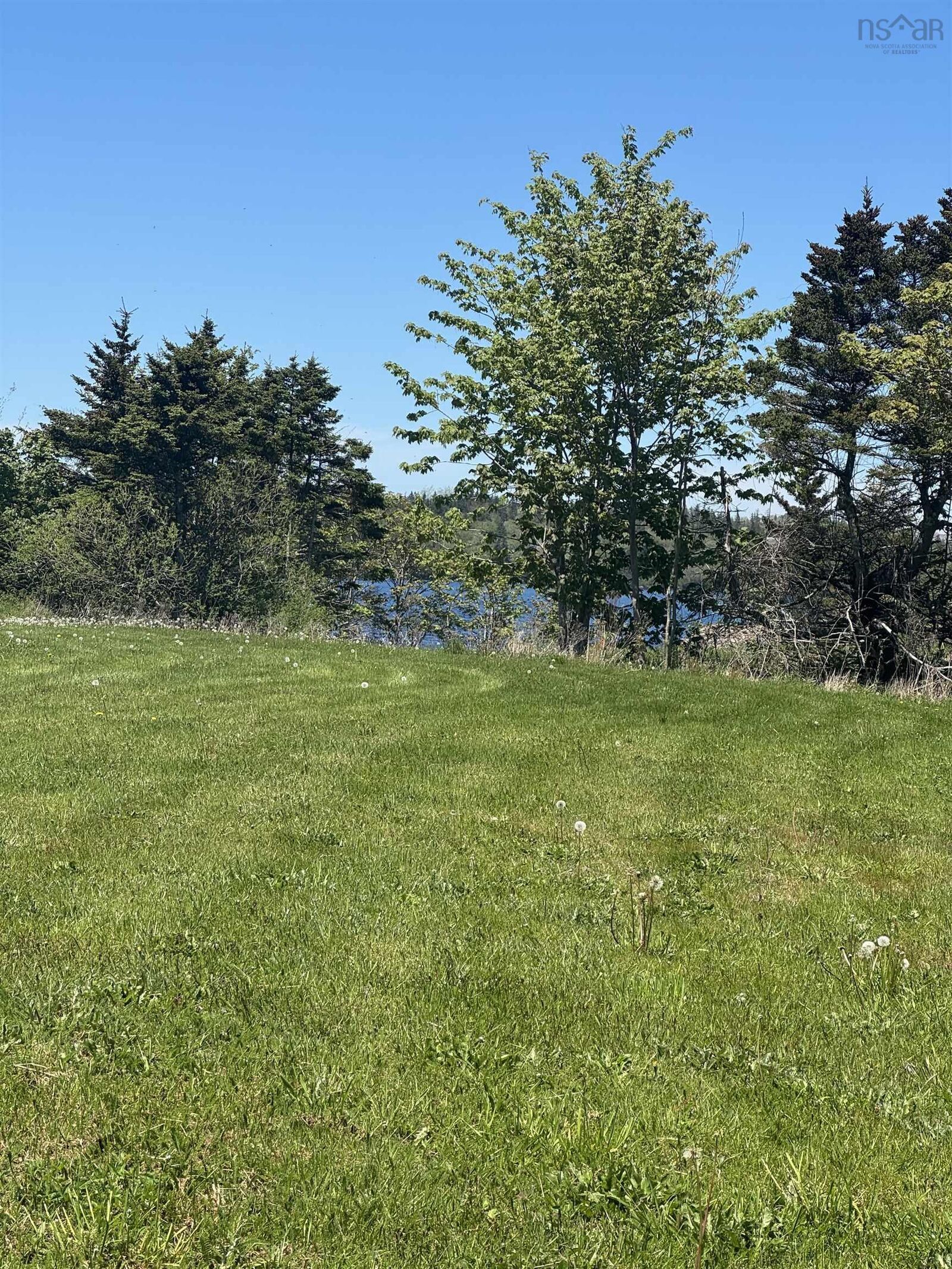 Property Photo:  Highway 1  NS B5A 4A5 