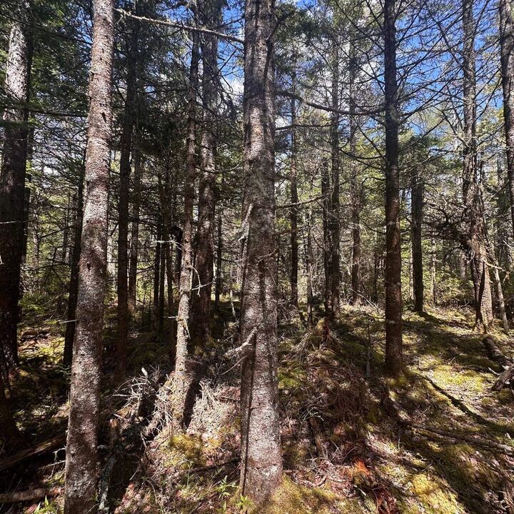 Property Photo:  Lot 16 Somerset Drive  NS B0T 1V0 
