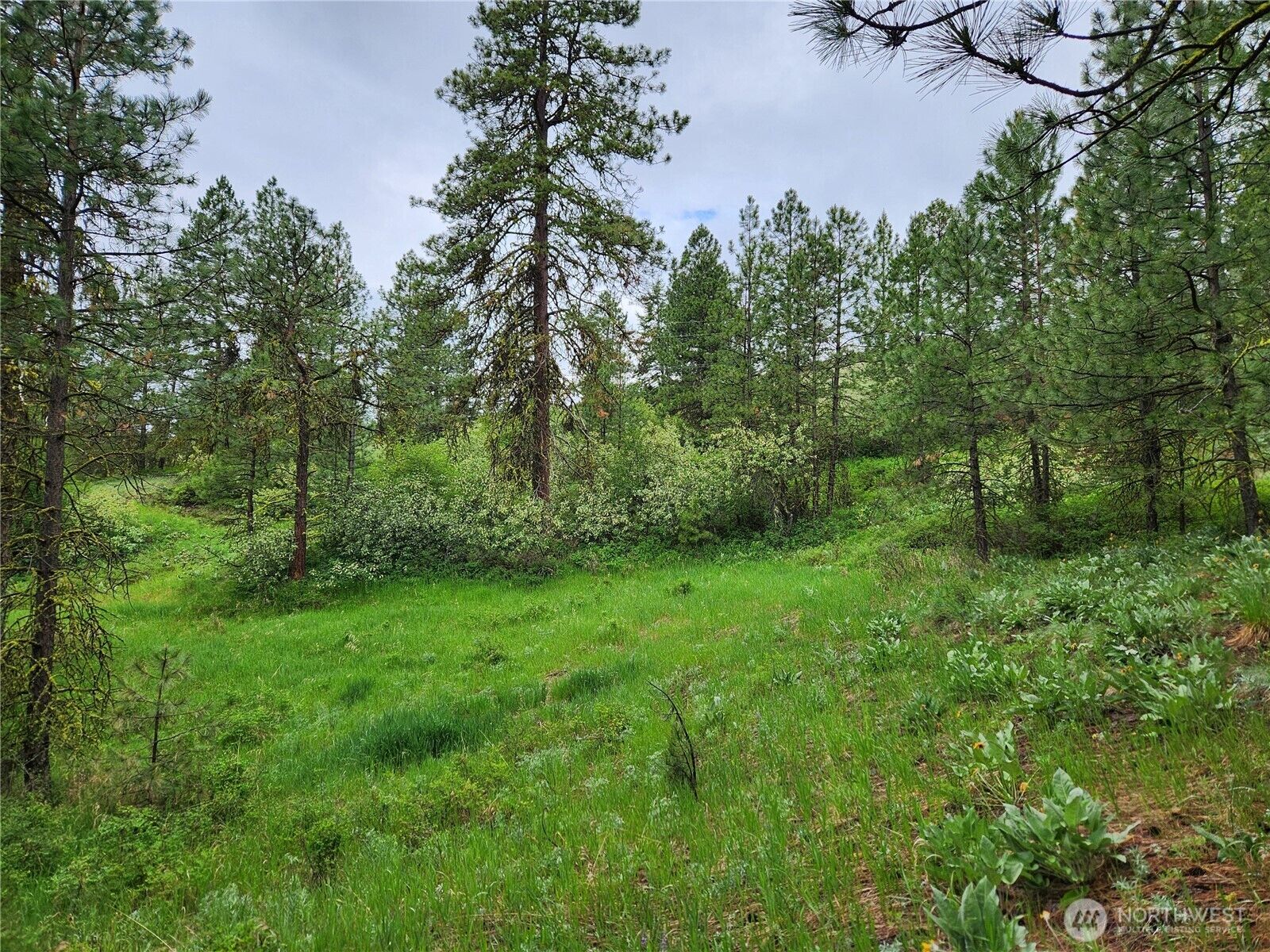 Property Photo:  0 74 & 75  Gold Mt. Road  WA 99166 