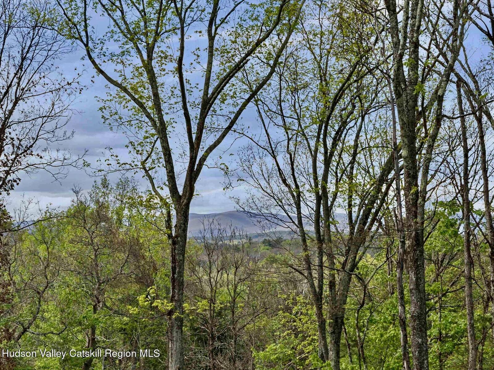 Property Photo:  Tbd Route 44/55  NY 12446 