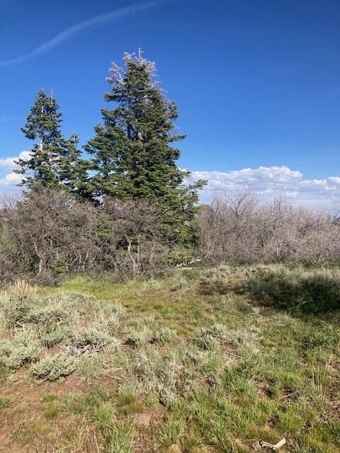 Property Photo:  271 N Whispering Pines Rd  UT 84767 