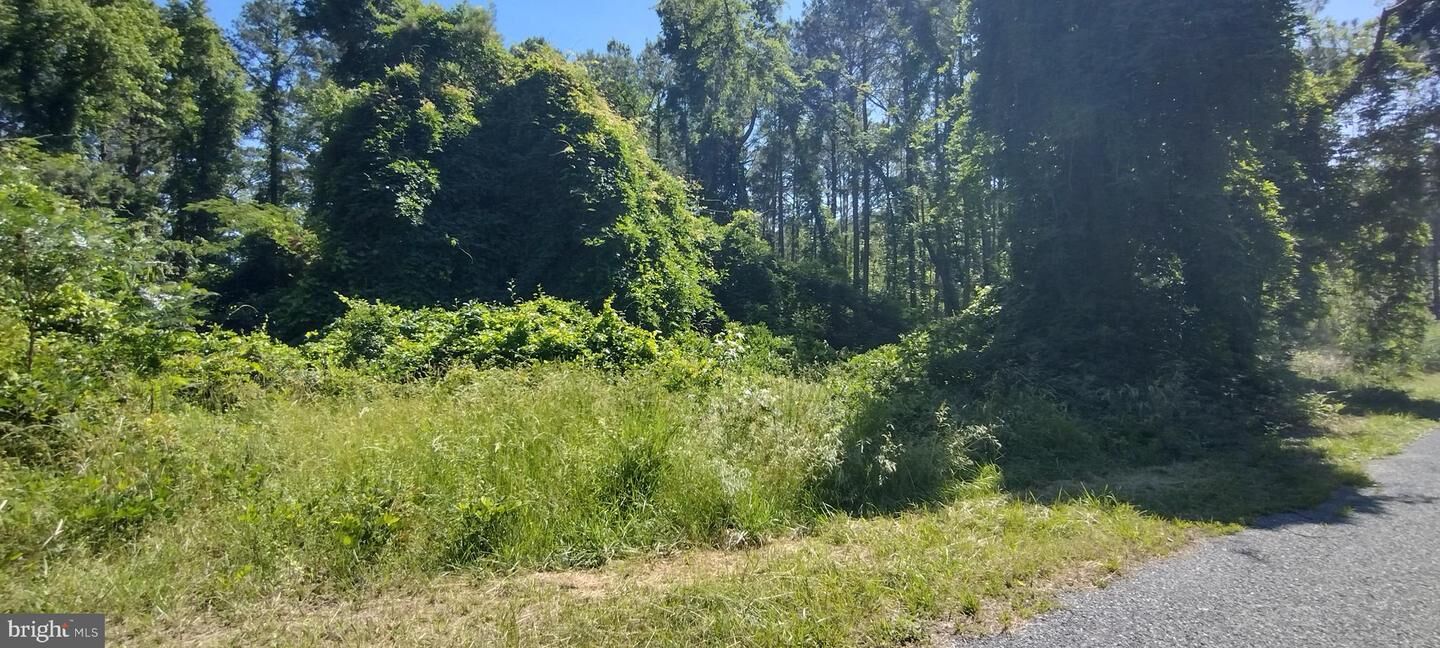 Property Photo: 4064 Back Shelltown Road MD 21838