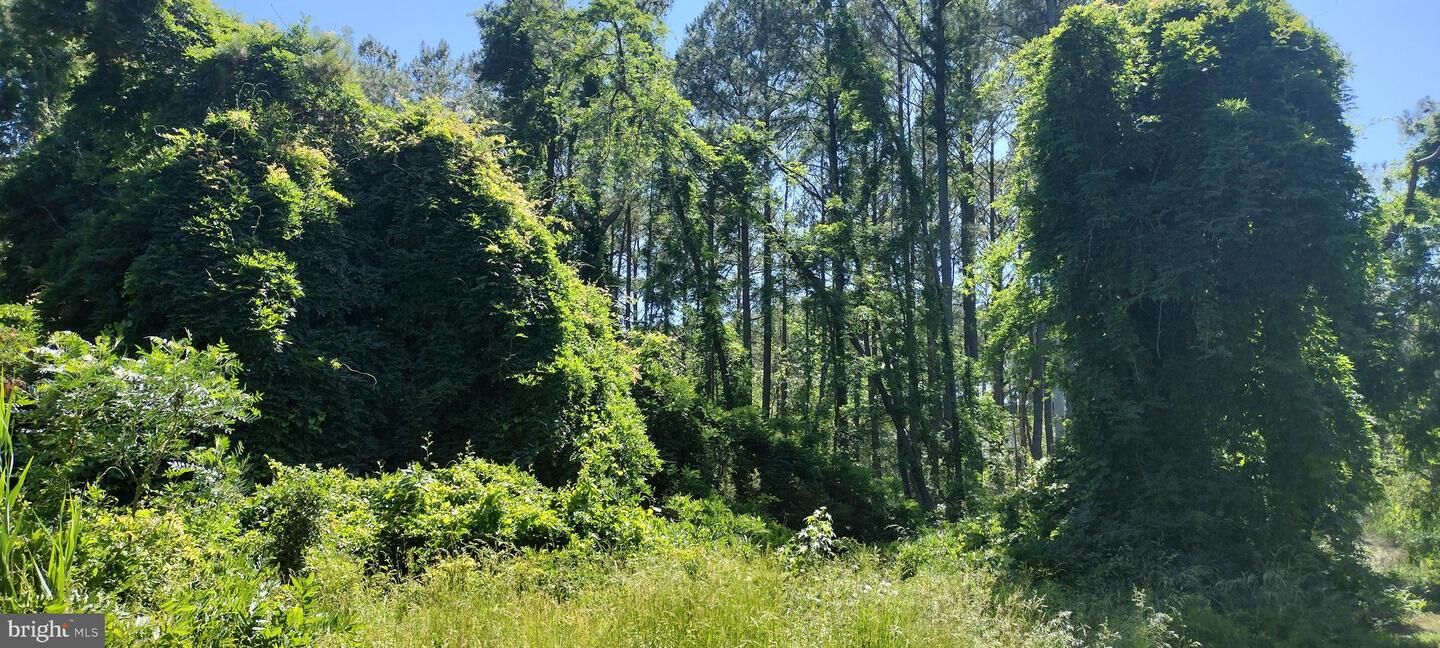 Property Photo:  4064 Back Shelltown Road  MD 21838 