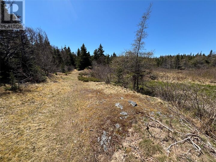 Property Photo:  19-21 Lawrence Lane  NL A0A 3L0 
