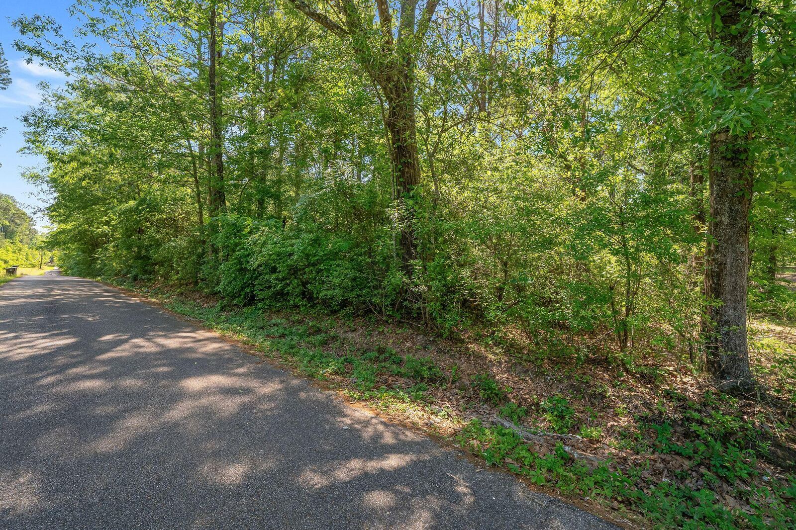 Property Photo: 0000 Brewer ( 1 Acre) MS 39475