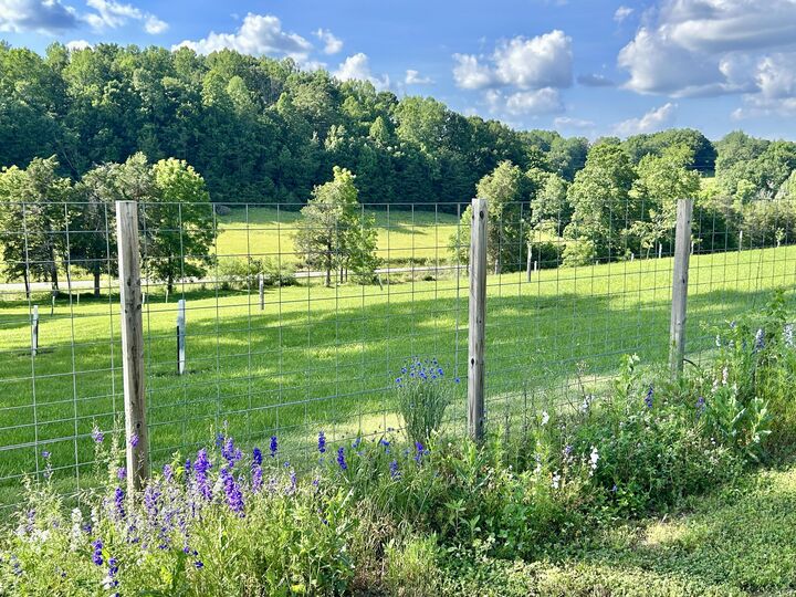 Property Photo: 94 Tarter Cemetery Road KY 42544