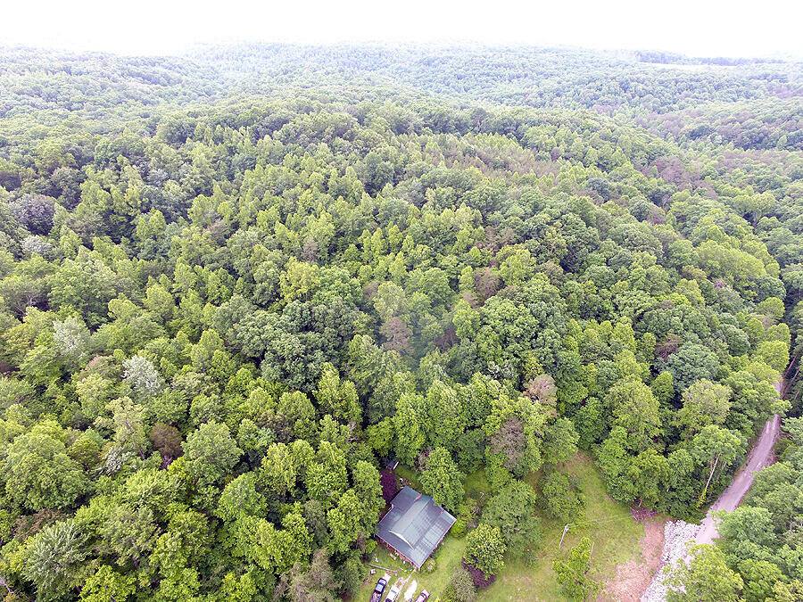 Property Photo: 452 Langford Prong Road KY 42501