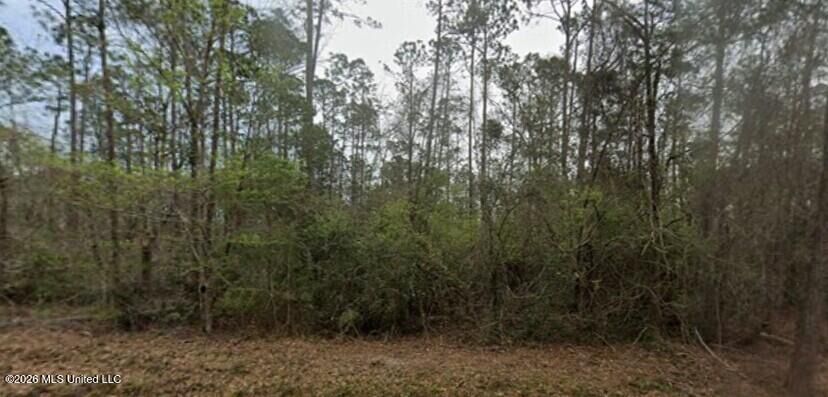 Property Photo: 0 Aila Street MS 39525