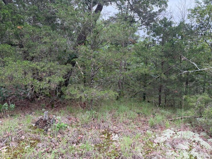 Property Photo:  1031 Old Dolph Road  AR 72519 