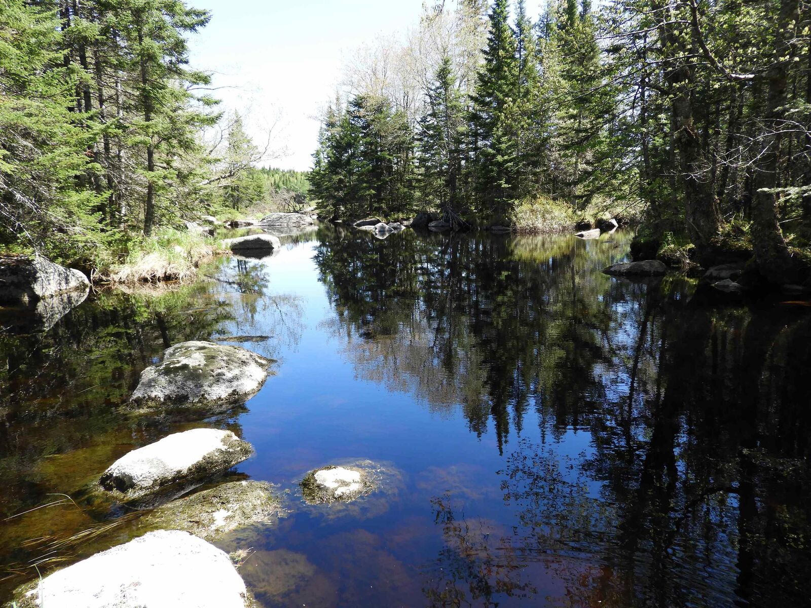 Property Photo:  Lot Forties Road  NS B0J 2M0 