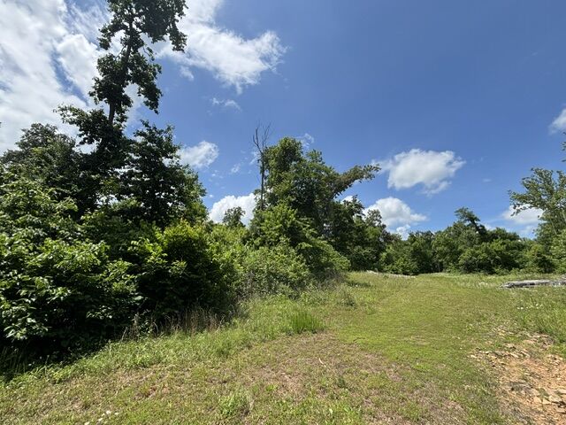 Property Photo:  Ar 21 S Berryville, Ar 72 S Ar 21  AR 72616 
