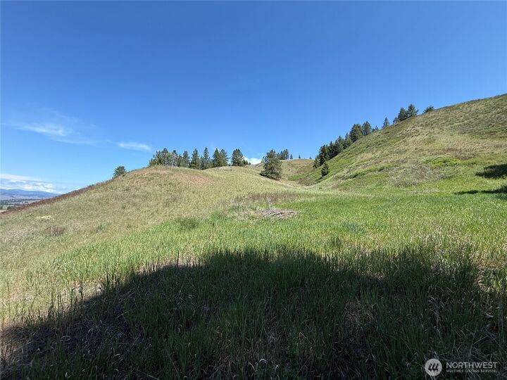 Property Photo: 0 Art Creek Road WA 99150