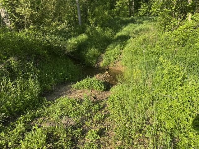 Property Photo:  000 Byrd'S Creek Road  WI 53518 