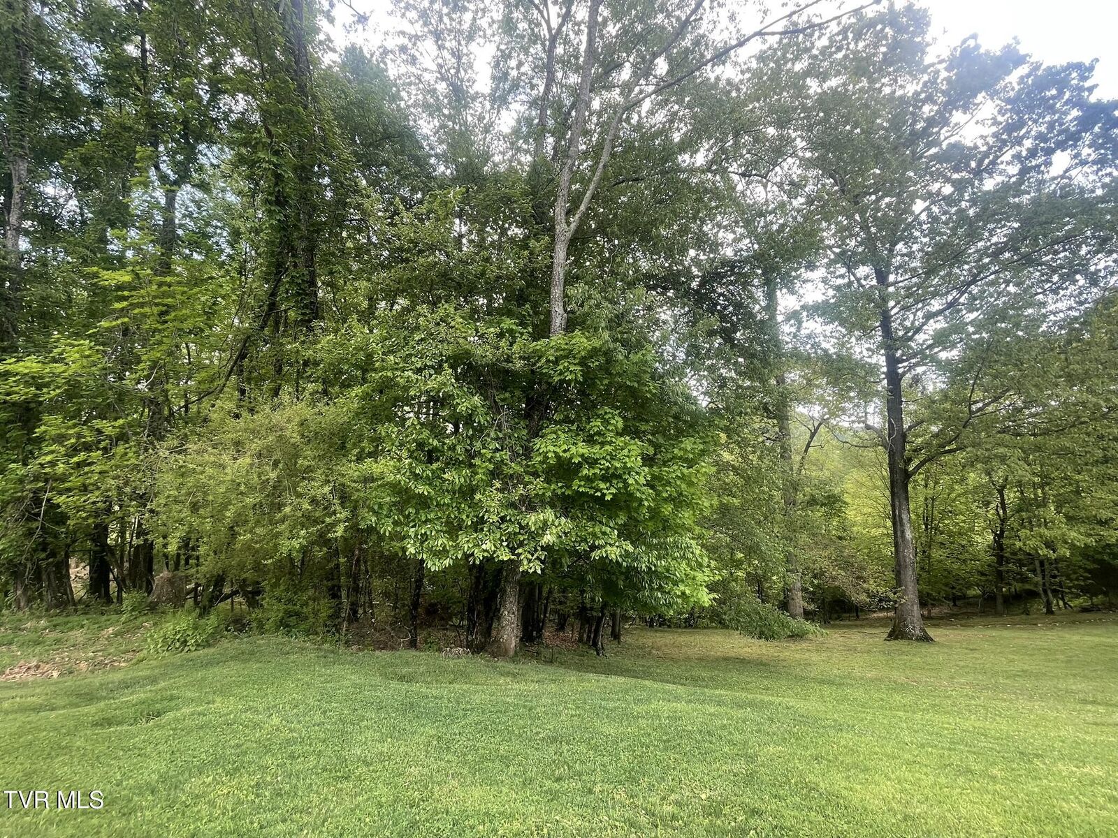 Property Photo:  Tbd Hillcrest Drive  VA 24251 