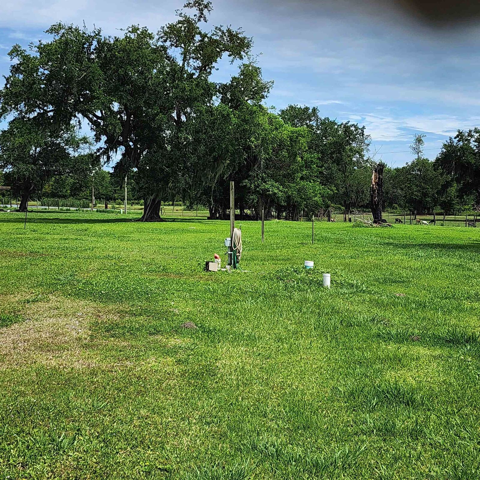 Property Photo:  2213 Bayou Dularge Rd  LA 70397 